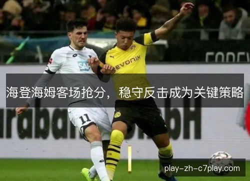 海登海姆客场抢分，稳守反击成为关键策略
